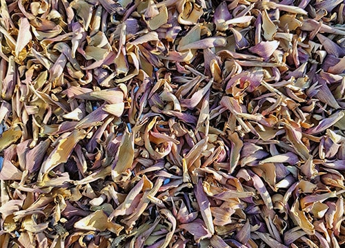 Feuilles d'Artichauts Séchées